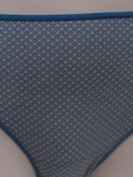 Lot de 2 slips coton imprimé bleu et bordeaux