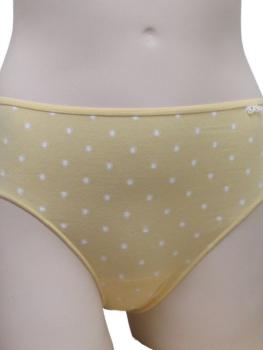 Lot de 2 slips coton vanille imprimé pois blanc