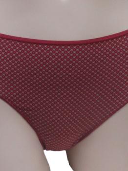 Lot de 2 slips coton imprimé bleu et bordeaux