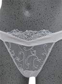 String Collection Magic Sexy
