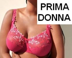 Nouveautés Prima Donna
