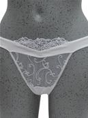 String Collection Magic Sexy